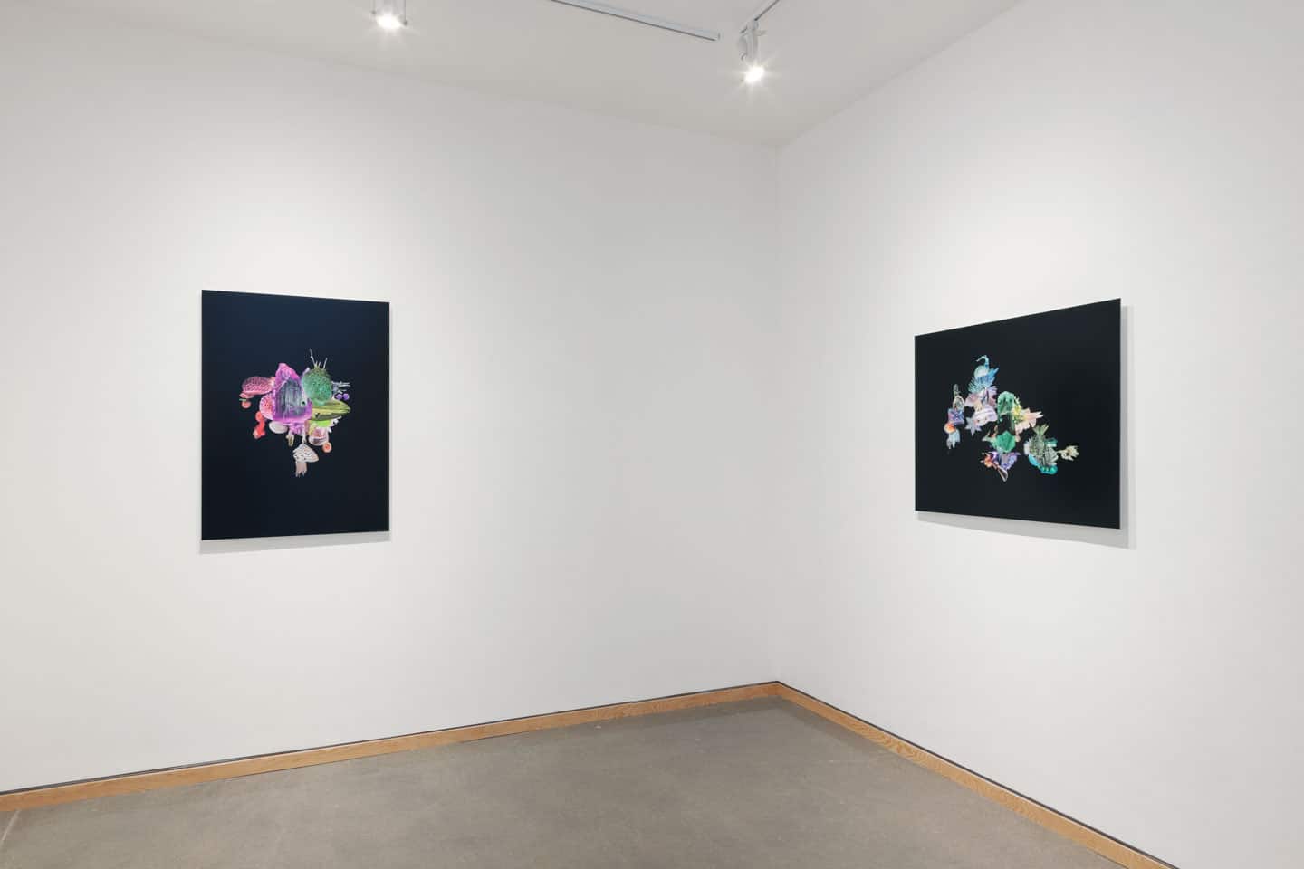 Meghan Mcknight at Angell Gallery